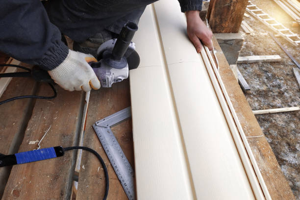 Best Siding Removal and Disposal  in Mount Pleasant, WI
